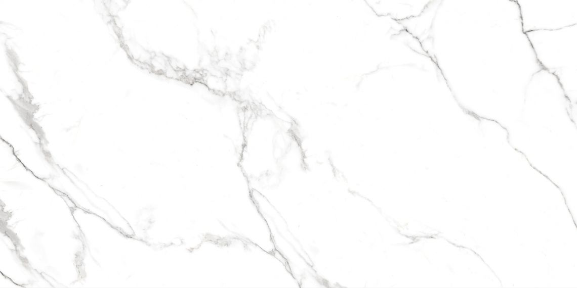 Сlassic Statuario Matt 60x120