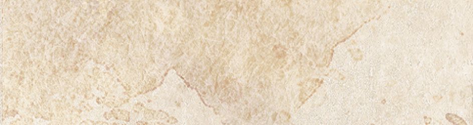 ная плитка Айдахо 3 бежевый 245x65