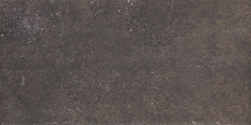 ная плитка Viano Antracite MAT 30х60