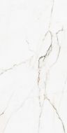 00-00000245 Calcatta Montreal Polish 60х120