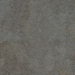 0003920 Native Forest Ret 80х80