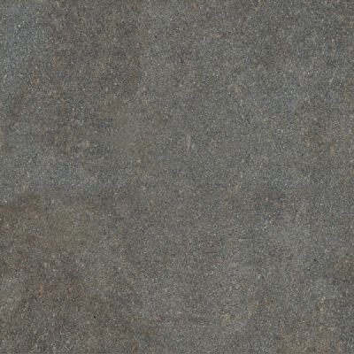 0003920 Native Forest Ret 80х80