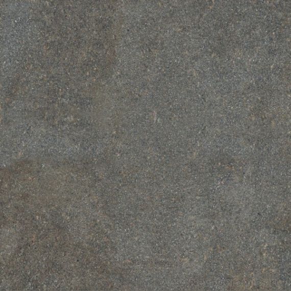 0003920 Native Forest Ret 80х80