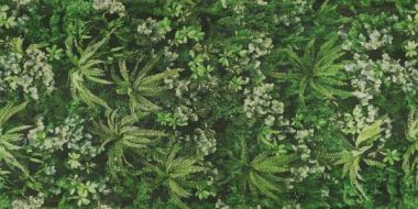 0009561 SECRET GARDEN 120x280