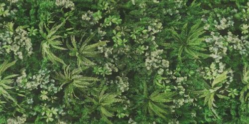 0009561 SECRET GARDEN 120x280