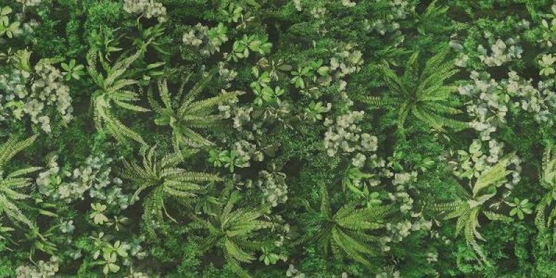 0009561 SECRET GARDEN 120x280