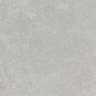 001135 ETIENNE GREIGE 60x60