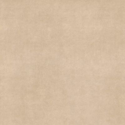 0020872 Velvet Beige Nat 120x120