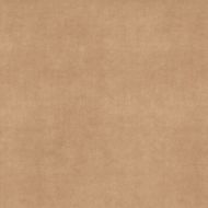 0020873 Velvet Honey Nat 120x120
