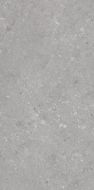 005485 Керамогранит Shellstone Grigio 60x120