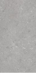 005485 Керамогранит Shellstone Grigio 60x120