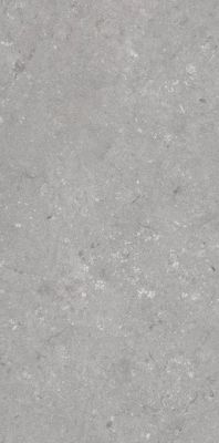 005485 Керамогранит Shellstone Grigio 60x120