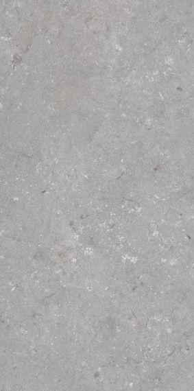 005485 Керамогранит Shellstone Grigio 60x120