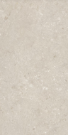 005486 Керамогранит Shellstone Beige 60x120