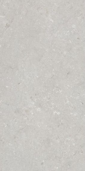 005487 Керамогранит Shellstone Bianco 60x120