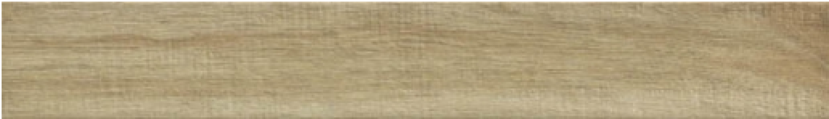 00R06P13 Woodglam Naturale 10x70