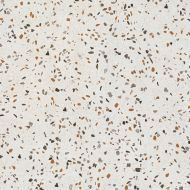 017.840.0056.14634 Керамогранит Terrazzo Terra 60x60