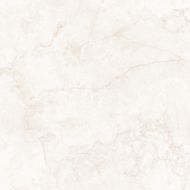033.120.0163.00569 Керамогранит Hermes Cream Antic 120x120