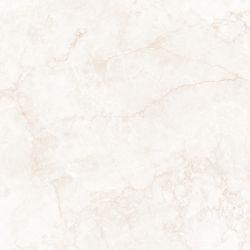 033.120.0163.00569 Керамогранит Hermes Cream Antic 120x120