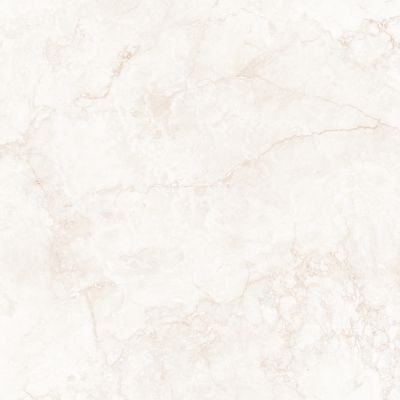 033.120.0163.00569 Керамогранит Hermes Cream Antic 120x120