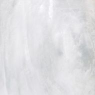 0531307 BRIGHT PEARL SNOW RETT 80x80