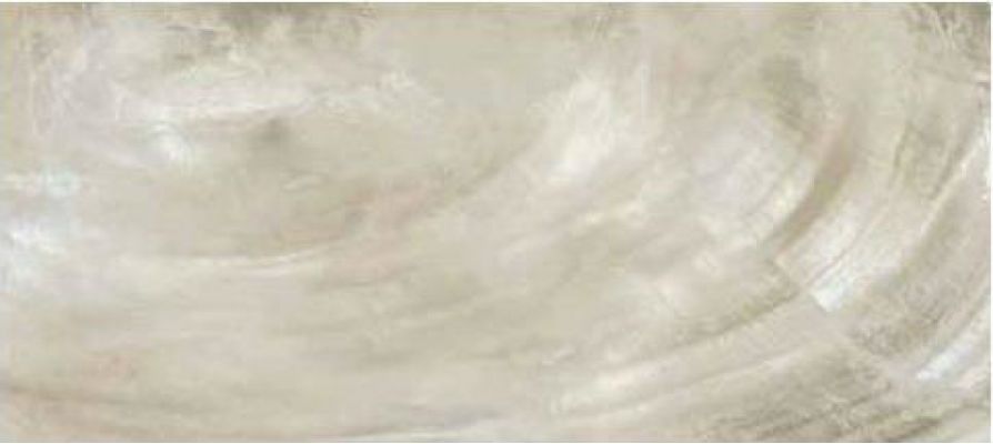 0531341 Bright P.Ivory Rett 80x180