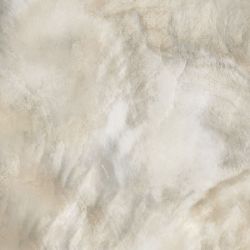 0531387 BRIGHT PEARL BRONZE RETT 80x80