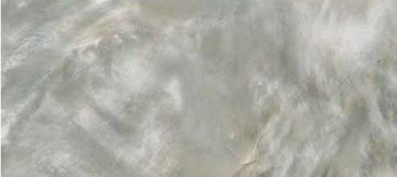0531421 Bright P.Silver Rett 80x180