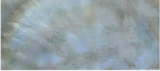 0531461 Bright P.Rainbow Ret 80x180