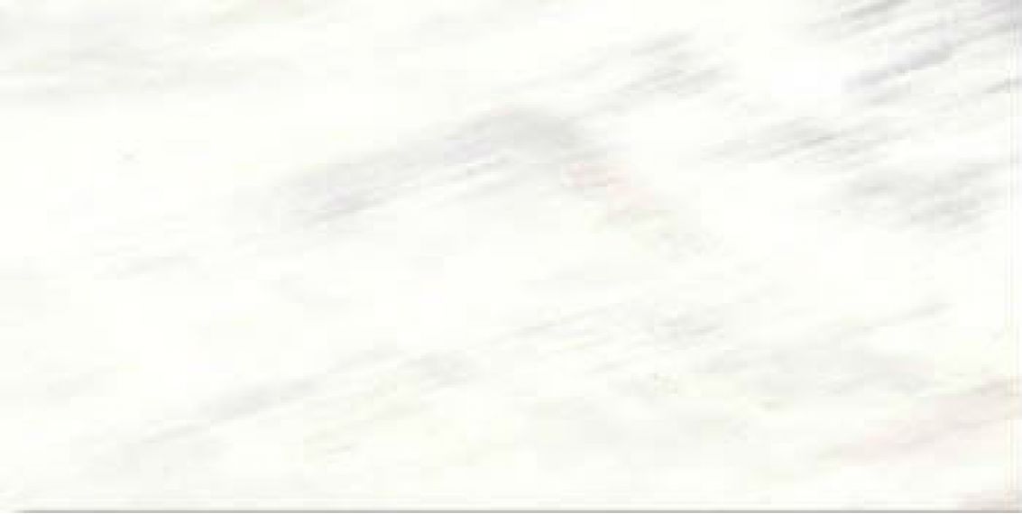 0556703 Tanduk Bianco Lapp. 60x120