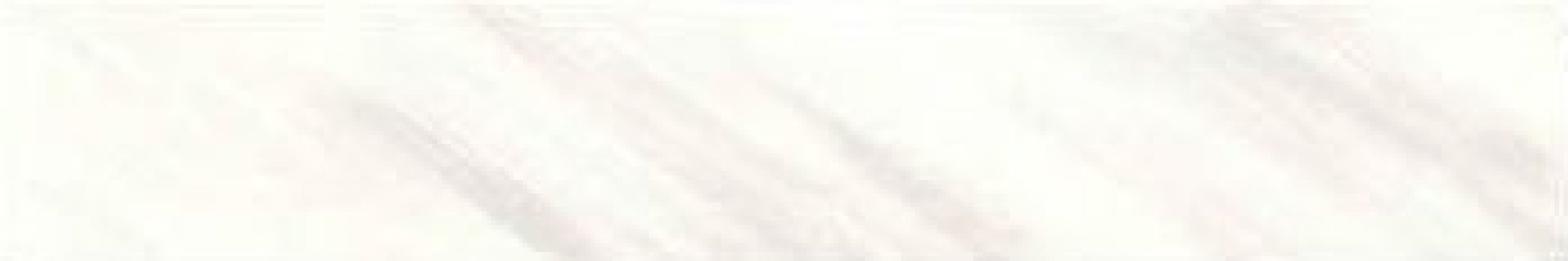 0556707 Tanduk Bianco Lapp. 20x120