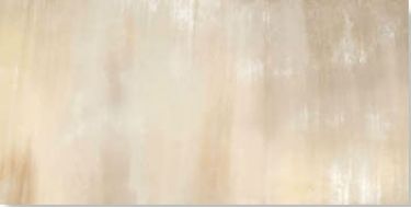 0556718 Tanduk Conchiglia Lap 60x120