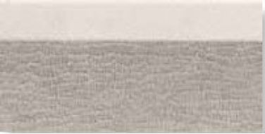 0556824 Tanduk Alzata Conchig 10x20
