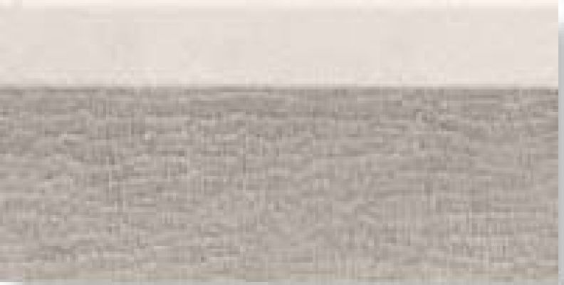 0556824 Tanduk Alzata Conchig 10x20