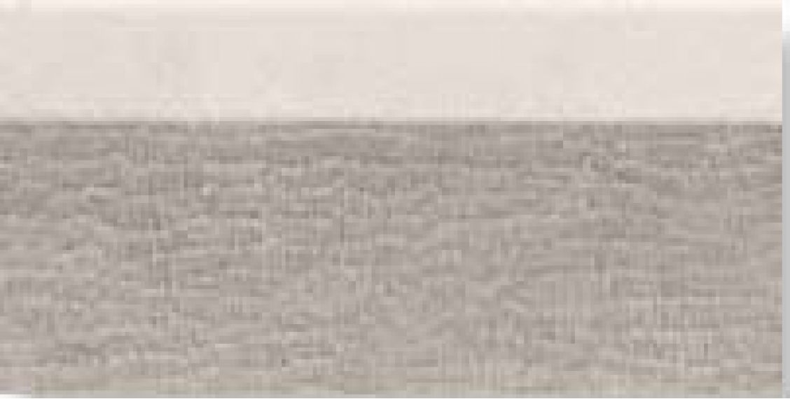 0556824 Tanduk Alzata Conchig 10x20