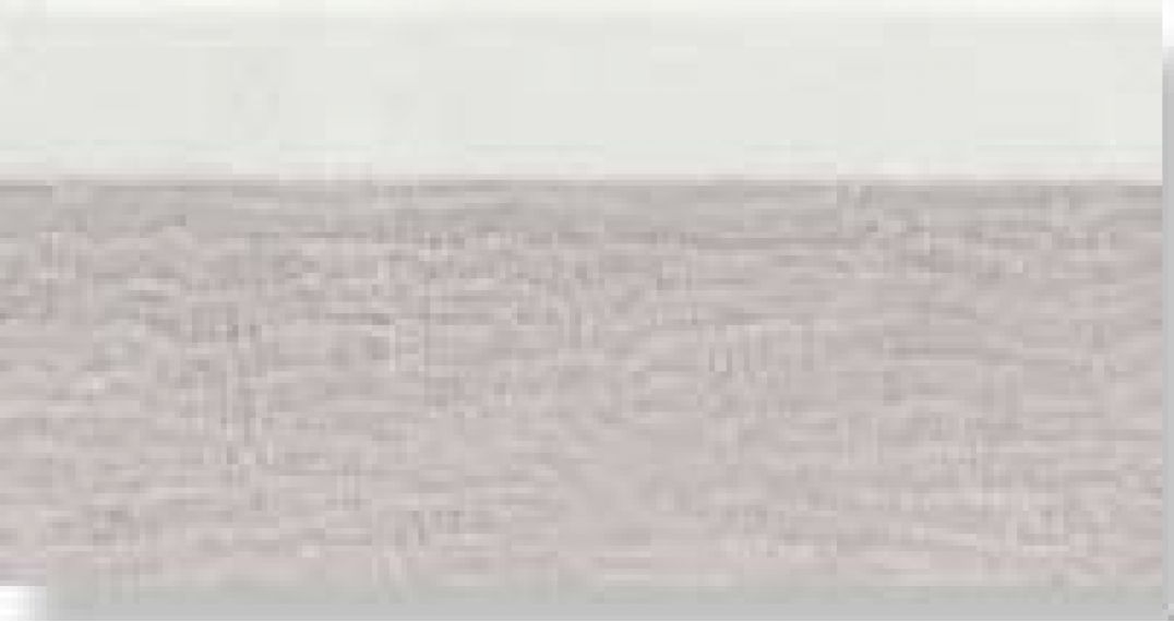0556839 Tanduk Alzata Grigia 10x20