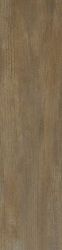 0557552 Signoria Noce Lapp 25x100