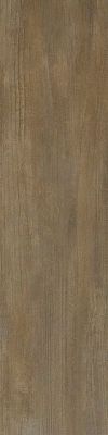 0557552 Signoria Noce Lapp 25x100