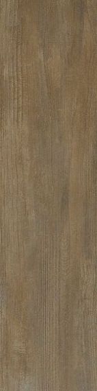 0557552 Signoria Noce Lapp 25x100