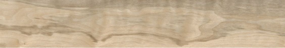 074.922.0119.13262 Керамогранит Walnut Sand 20x120