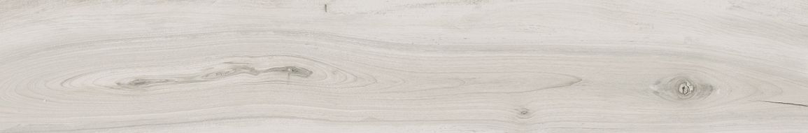 075071 KAURI AWANUI RETT 20x120