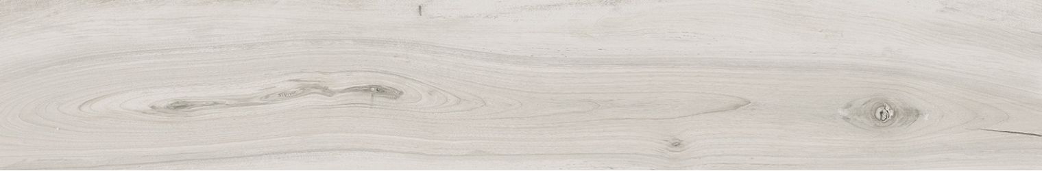 075071 KAURI AWANUI RETT 20x120