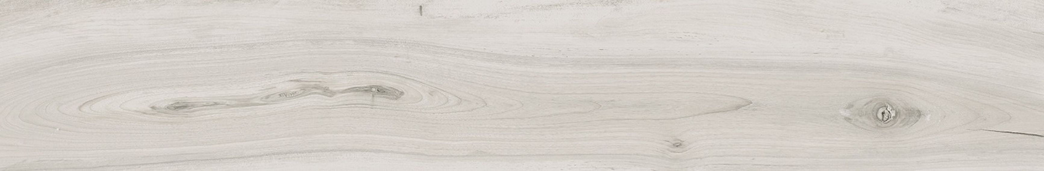075071 KAURI AWANUI RETT 20x120