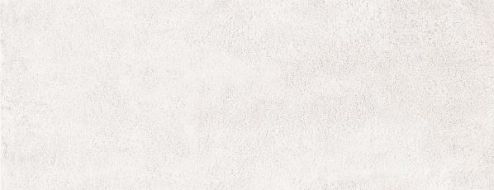 100156 Rev. RAKU SILVERY 26x60.5