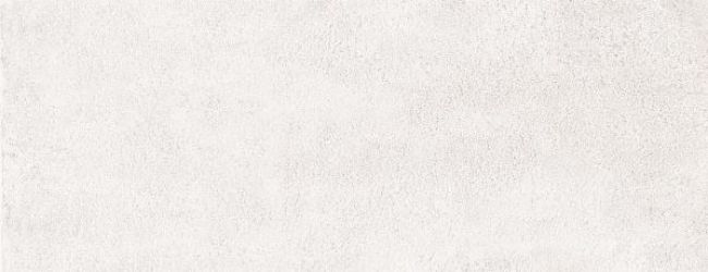 100156 Rev. RAKU SILVERY 26x60.5