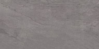 100202664 Austin Dark Gray 59,6x120
