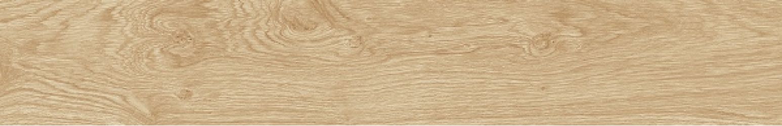 100287897 P18803801 Oxford Natural 19.3x120