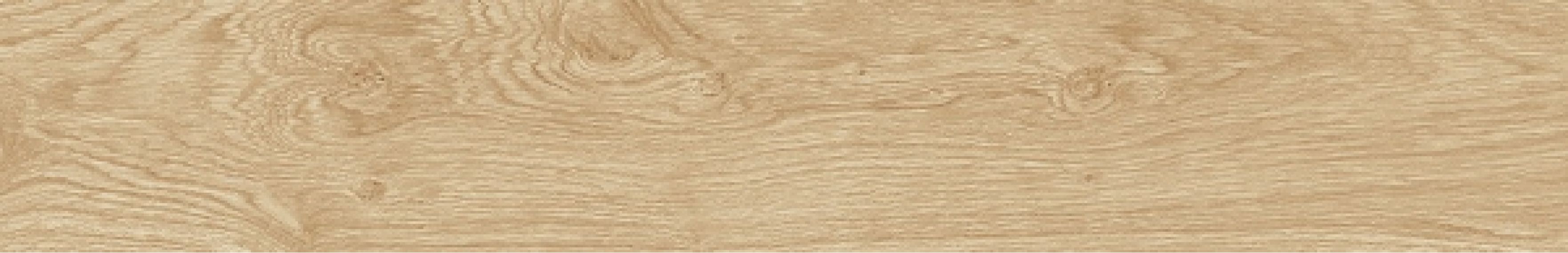 100287897 P18803801 Oxford Natural 19.3x120