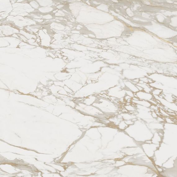 100296873 Massa Brillo 59,6x59,6