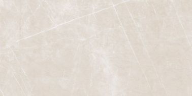 1002 SATIN BASE GLOSSY 60x120